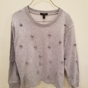 Jcrew sweatshirt